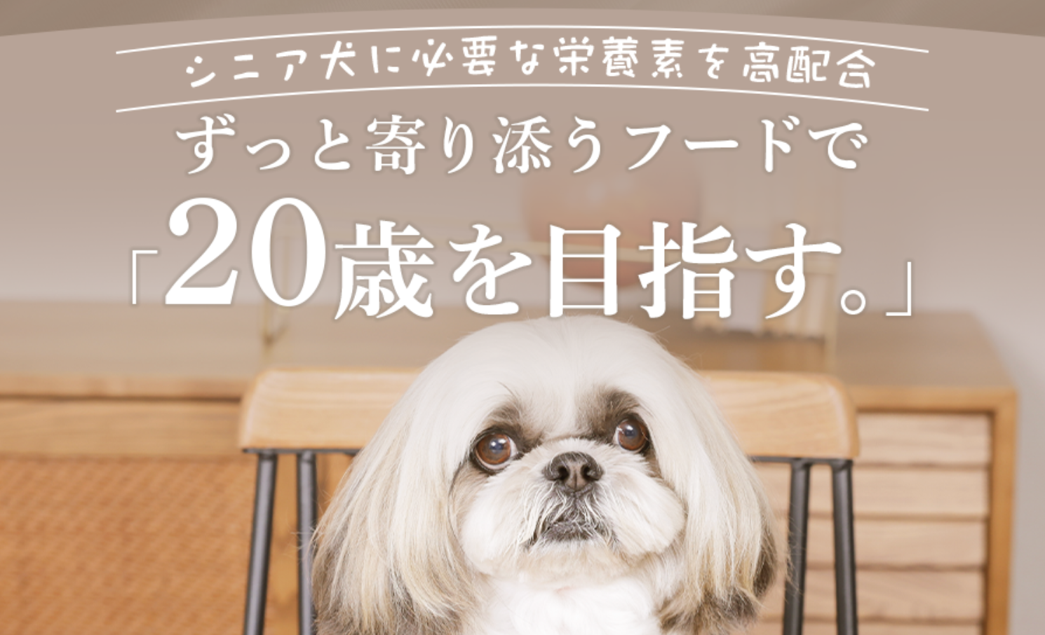 シニア犬用のパッケージ画像
